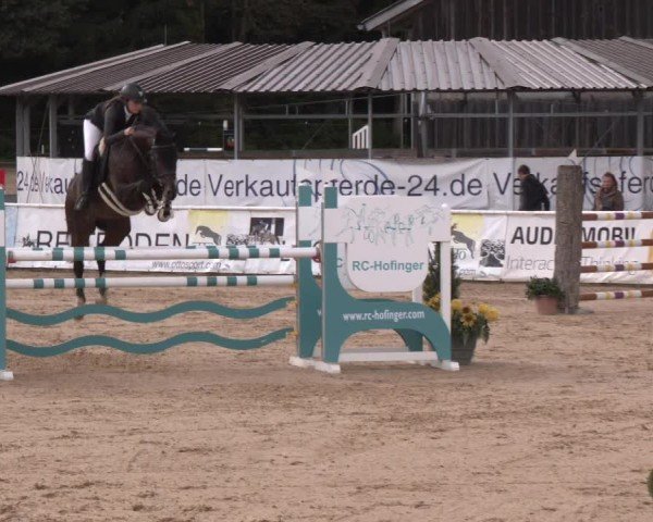Reitturnier Ranshofen - Braunau am Inn 2024