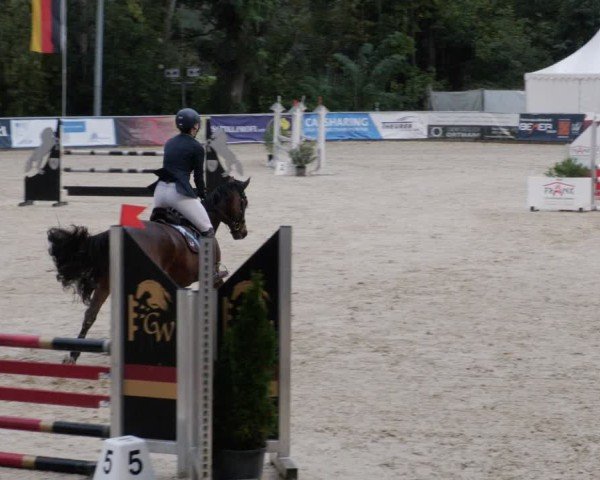 Reitturnier Karlsfeld/Obb. 2024
