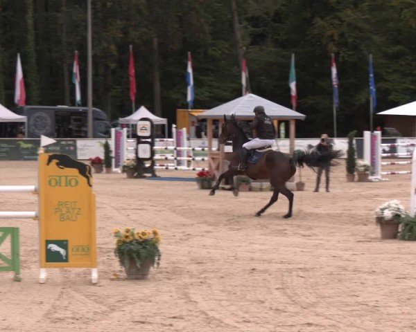Reitturnier Ranshofen - Braunau am Inn 2024