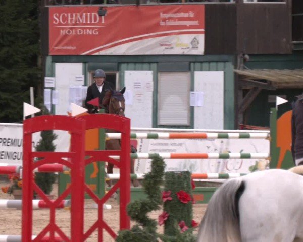 Reitturnier Ranshofen - Braunau am Inn 2024