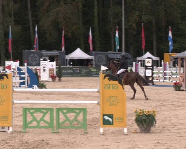Reitturnier Ranshofen - Braunau am Inn 2024