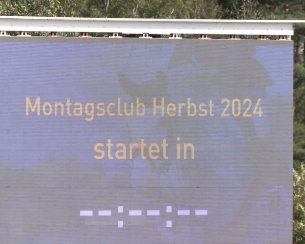 Reitturnier Westergellersen 2024
