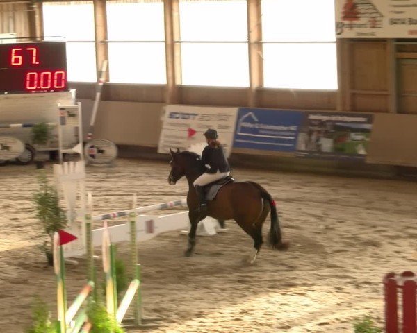 Reitturnier Winterthur 2024