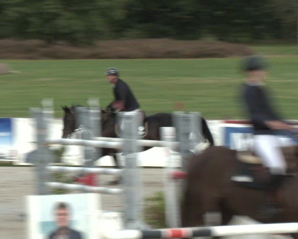 Reitturnier Westergellersen 2024