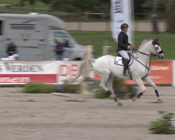 Reitturnier Westergellersen 2024