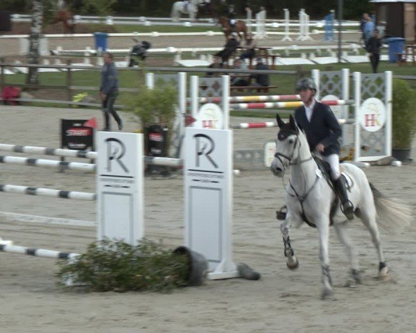 Reitturnier Westergellersen 2024