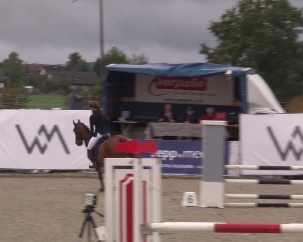 Reitturnier Poxdorf/Ofr 2024