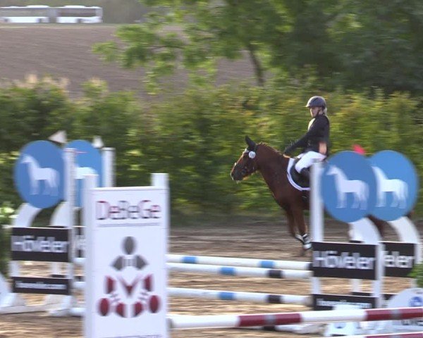 Reitturnier Baitz 2024