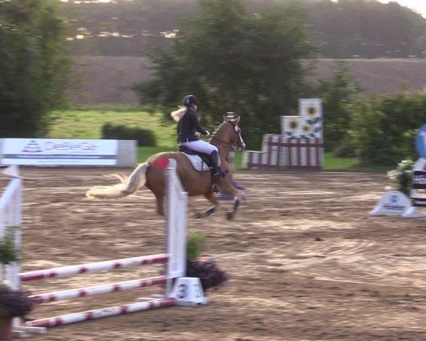 Reitturnier Baitz 2024