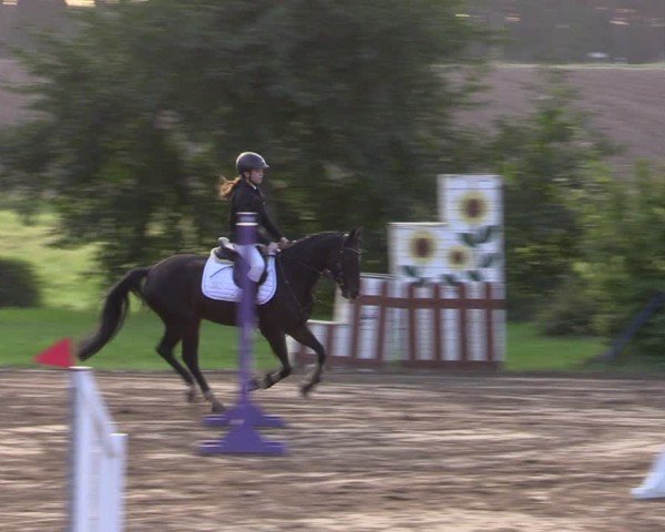 Reitturnier Baitz 2024
