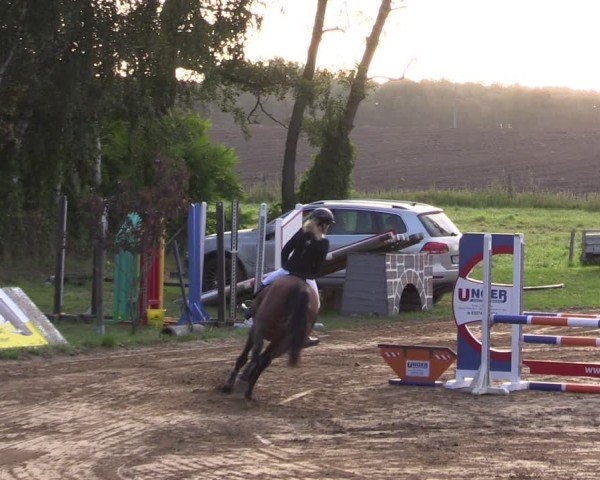 Reitturnier Baitz 2024