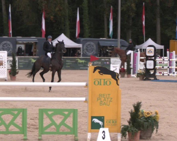 Reitturnier Ranshofen - Braunau am Inn 2024