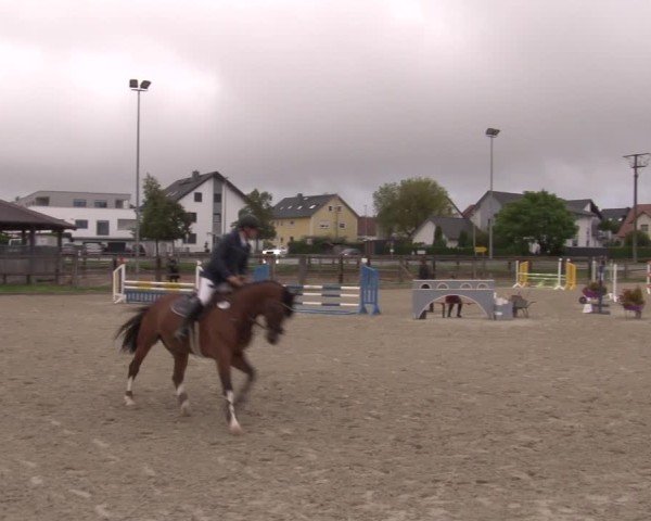 Reitturnier Poxdorf/Ofr 2024