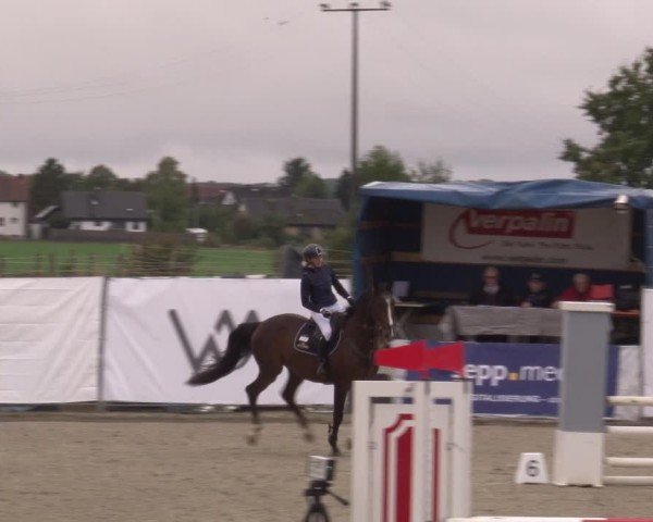 Reitturnier Poxdorf/Ofr 2024