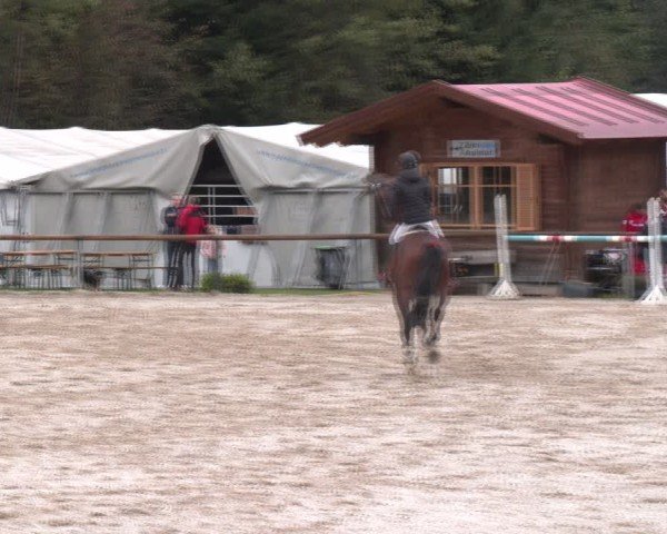 Reitturnier Igls 2024