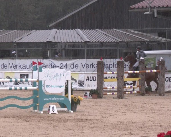 Reitturnier Ranshofen - Braunau am Inn 2024