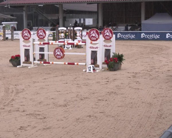 Reitturnier Ranshofen - Braunau am Inn 2024