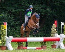 jumper Volcan des Maichieres (Freiberger, 2017, from Voyou III CH)
