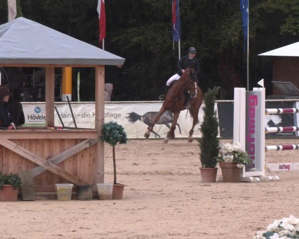 Reitturnier Ranshofen - Braunau am Inn 2024