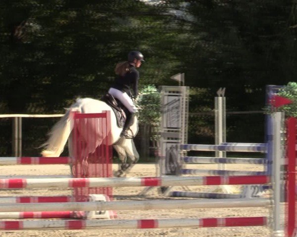 Reitturnier Springe 2024
