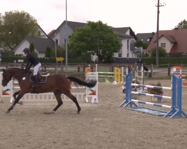 Reitturnier Poxdorf/Ofr 2024