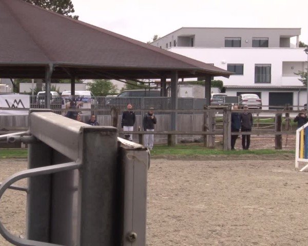 Reitturnier Poxdorf/Ofr 2024