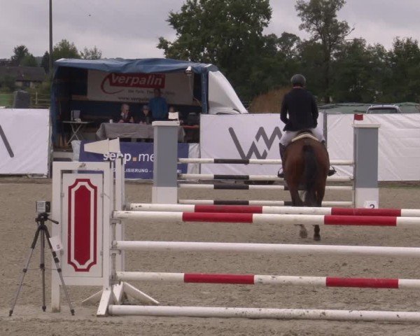 Reitturnier Poxdorf/Ofr 2024