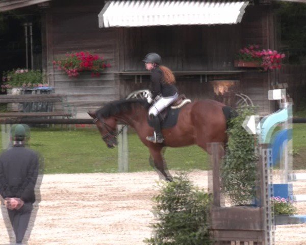 Reitturnier Igls 2024