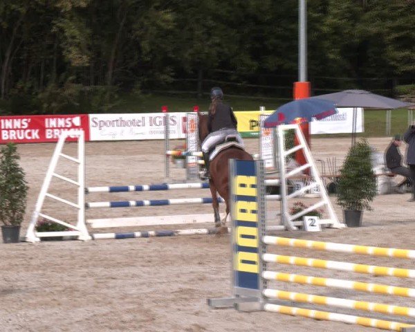 Reitturnier Igls 2024