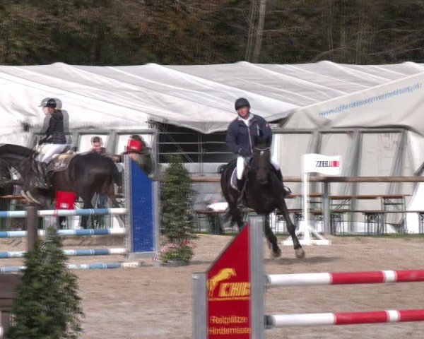 Reitturnier Igls 2024