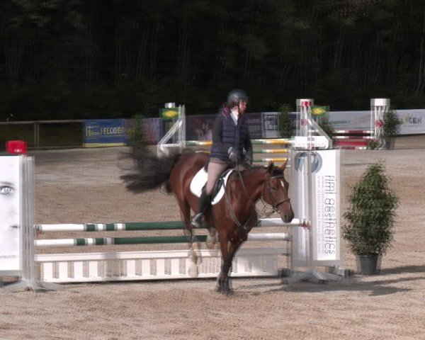 Reitturnier Igls 2024