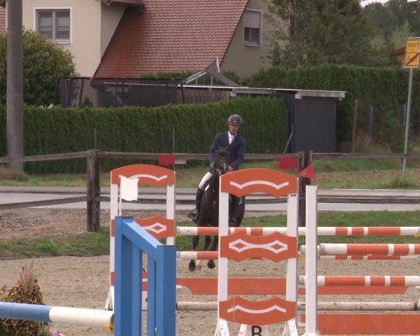 Reitturnier Poxdorf/Ofr 2024