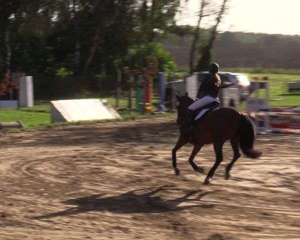 Reitturnier Baitz 2024