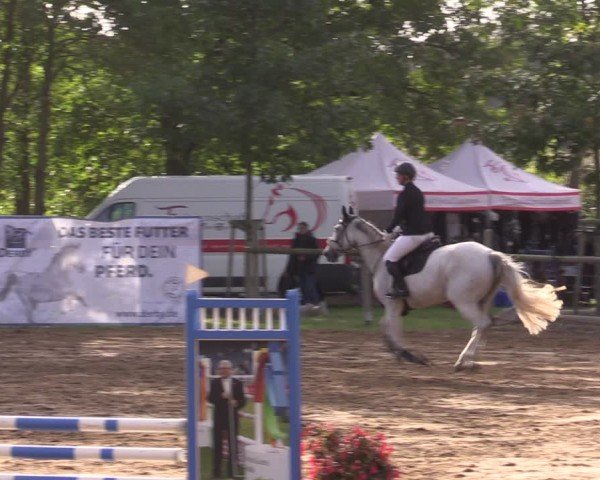 Reitturnier Baitz 2024