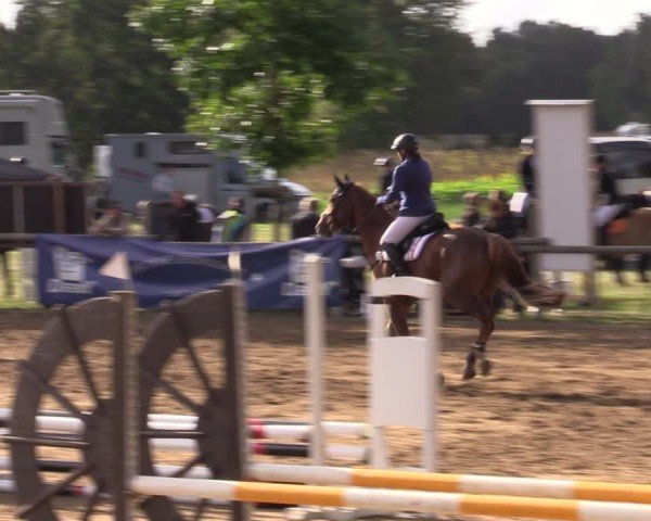 Reitturnier Baitz 2024