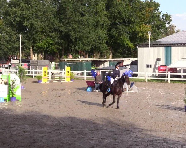 Reitturnier Mildstedt - Jumping Team Nord - 2024