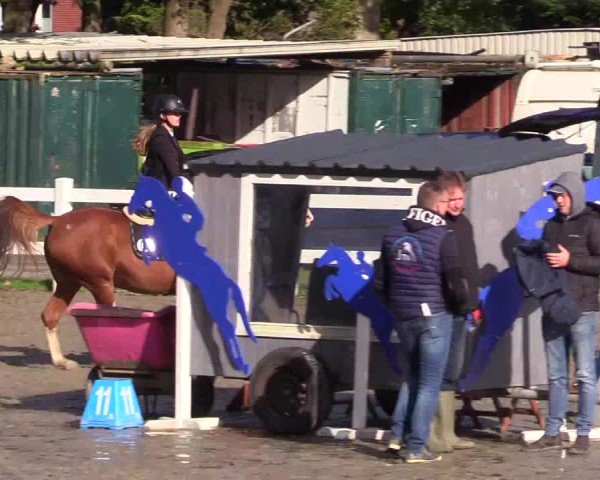 Reitturnier Mildstedt - Jumping Team Nord - 2024