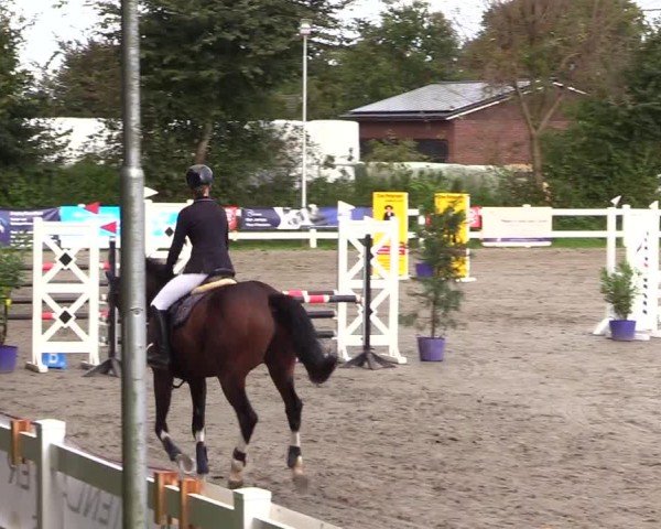 Reitturnier Mildstedt - Jumping Team Nord - 2024