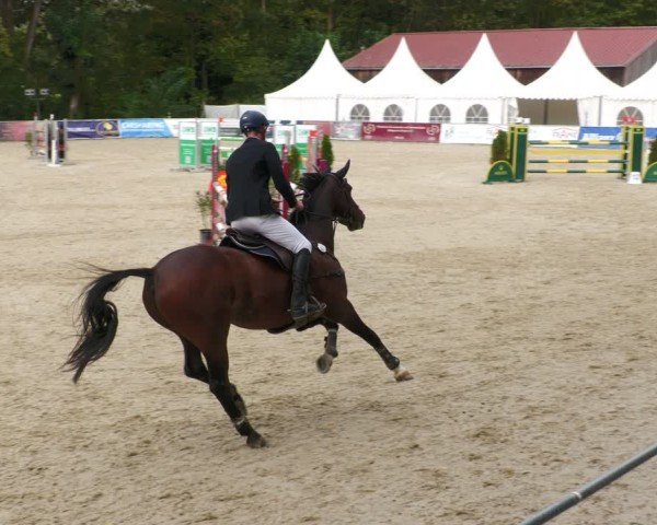 Reitturnier Karlsfeld/Obb. 2024