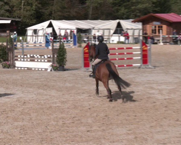 Reitturnier Igls 2024