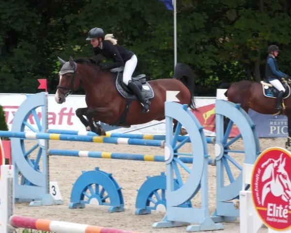 Reitturnier Karlsfeld/Obb. 2024