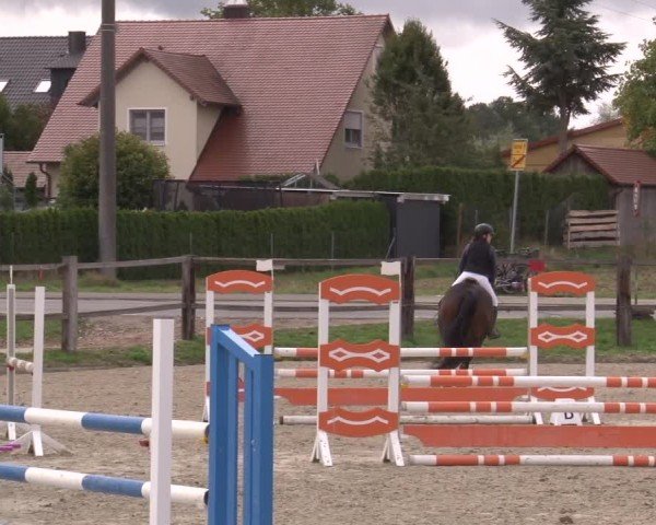 Reitturnier Poxdorf/Ofr 2024
