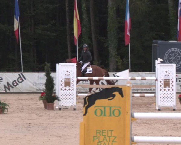 Reitturnier Ranshofen - Braunau am Inn 2024