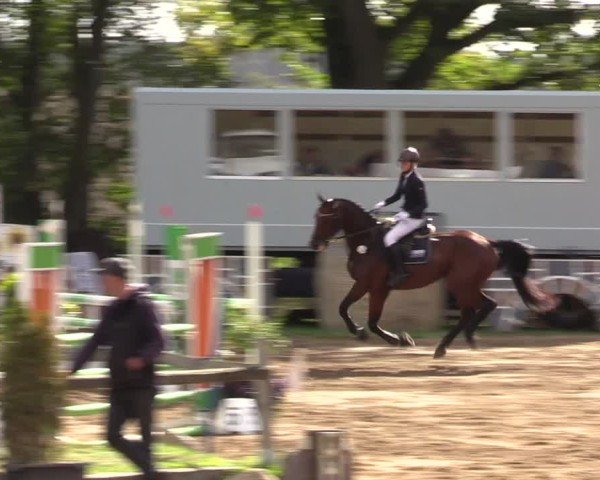 Reitturnier Baitz 2024