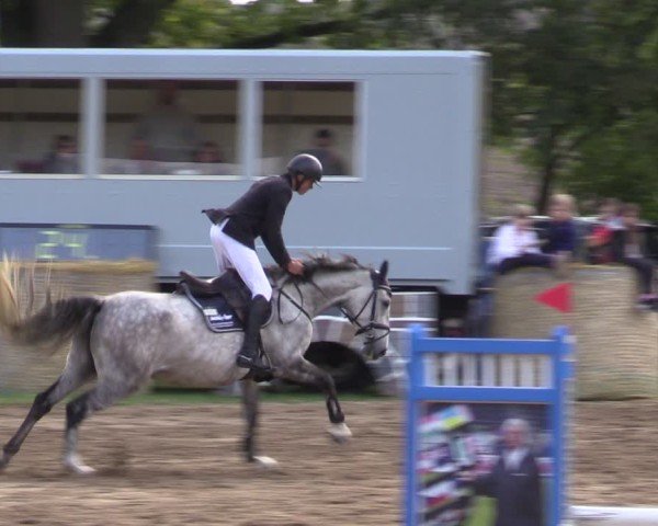 Reitturnier Baitz 2024