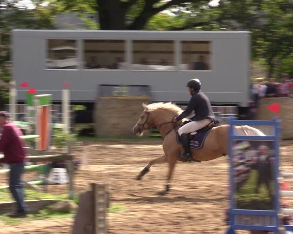 Reitturnier Baitz 2024