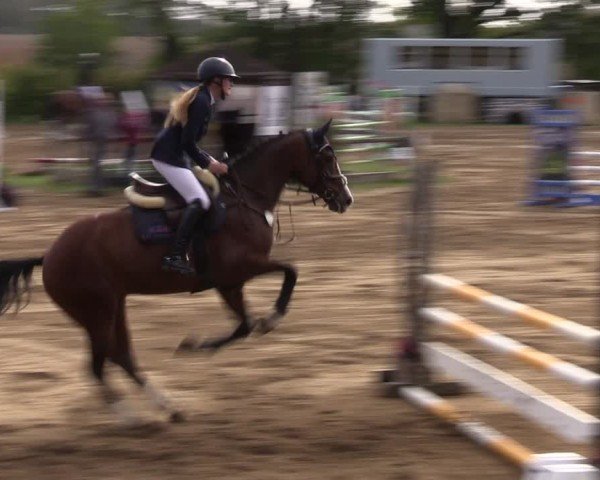 Reitturnier Baitz 2024