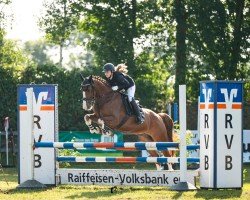jumper Findus 177 (KWPN (Royal Dutch Sporthorse), 2012)
