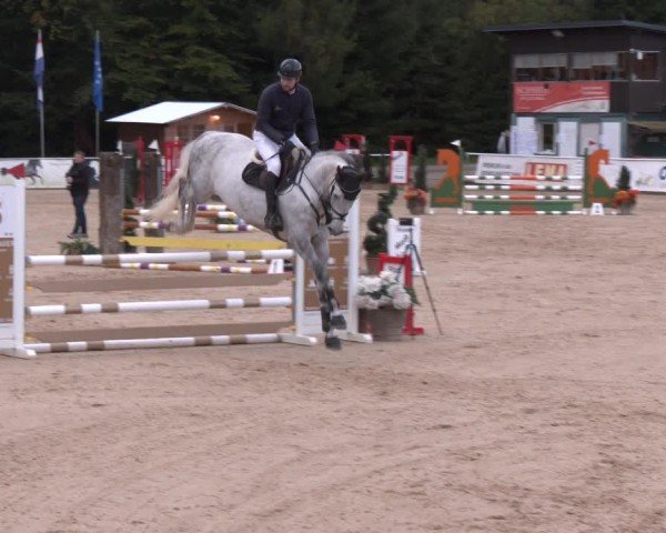 Reitturnier Ranshofen - Braunau am Inn 2024