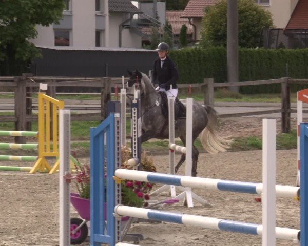 Reitturnier Poxdorf/Ofr 2024